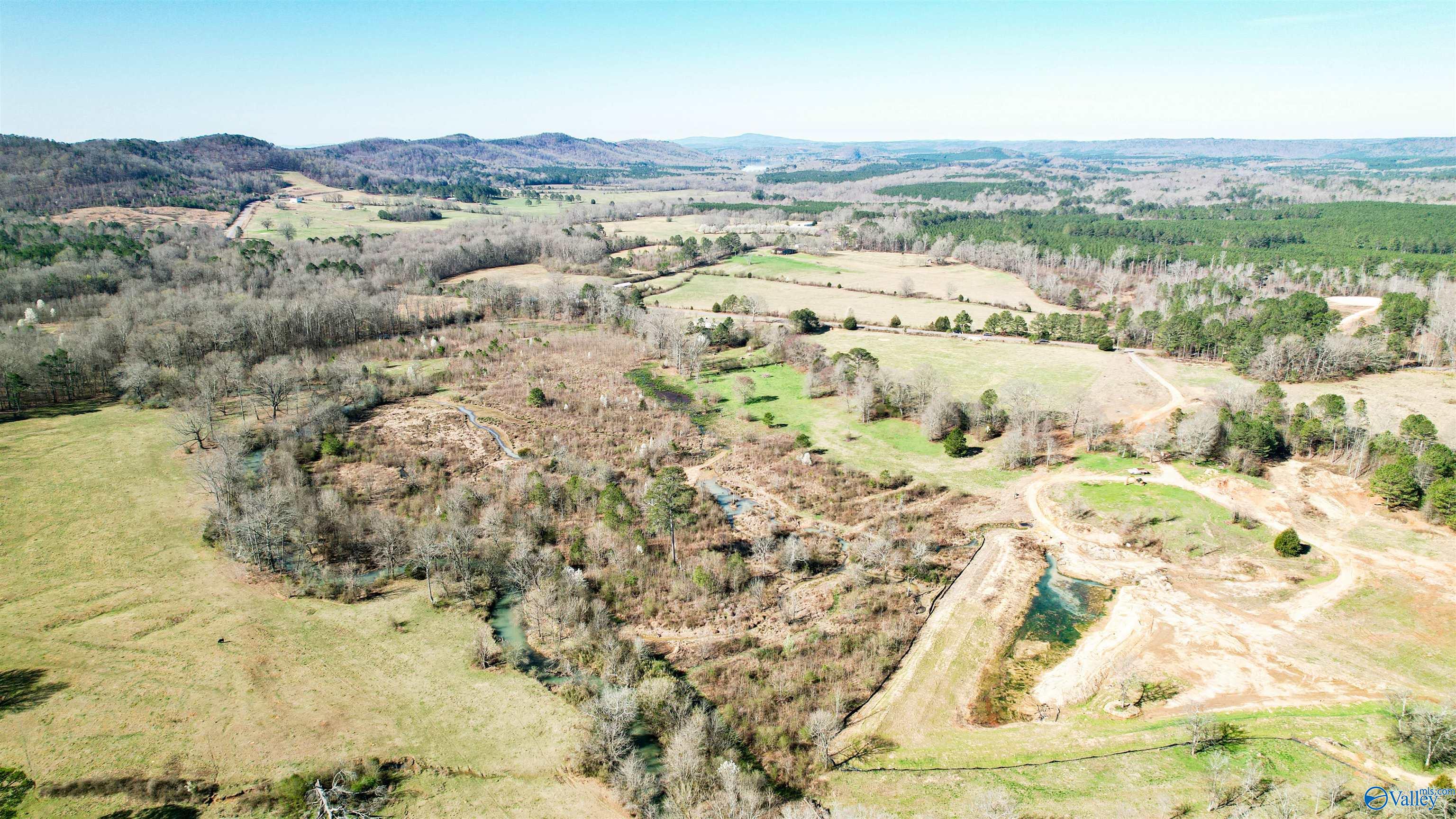 1580 County Road 41, Gaylesville, Alabama image 6