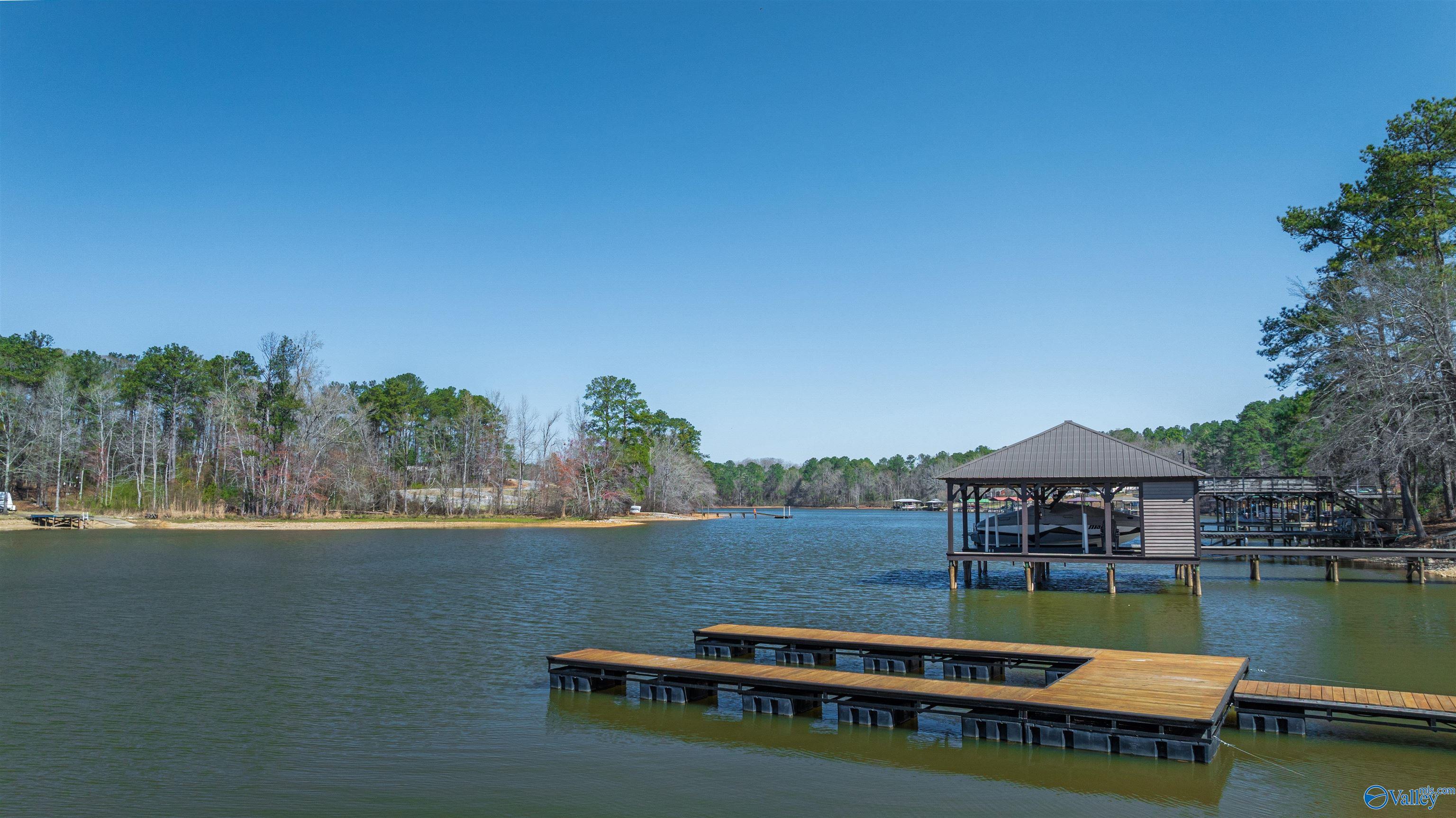 254 Lakeside Lane, Alpine, Alabama image 4