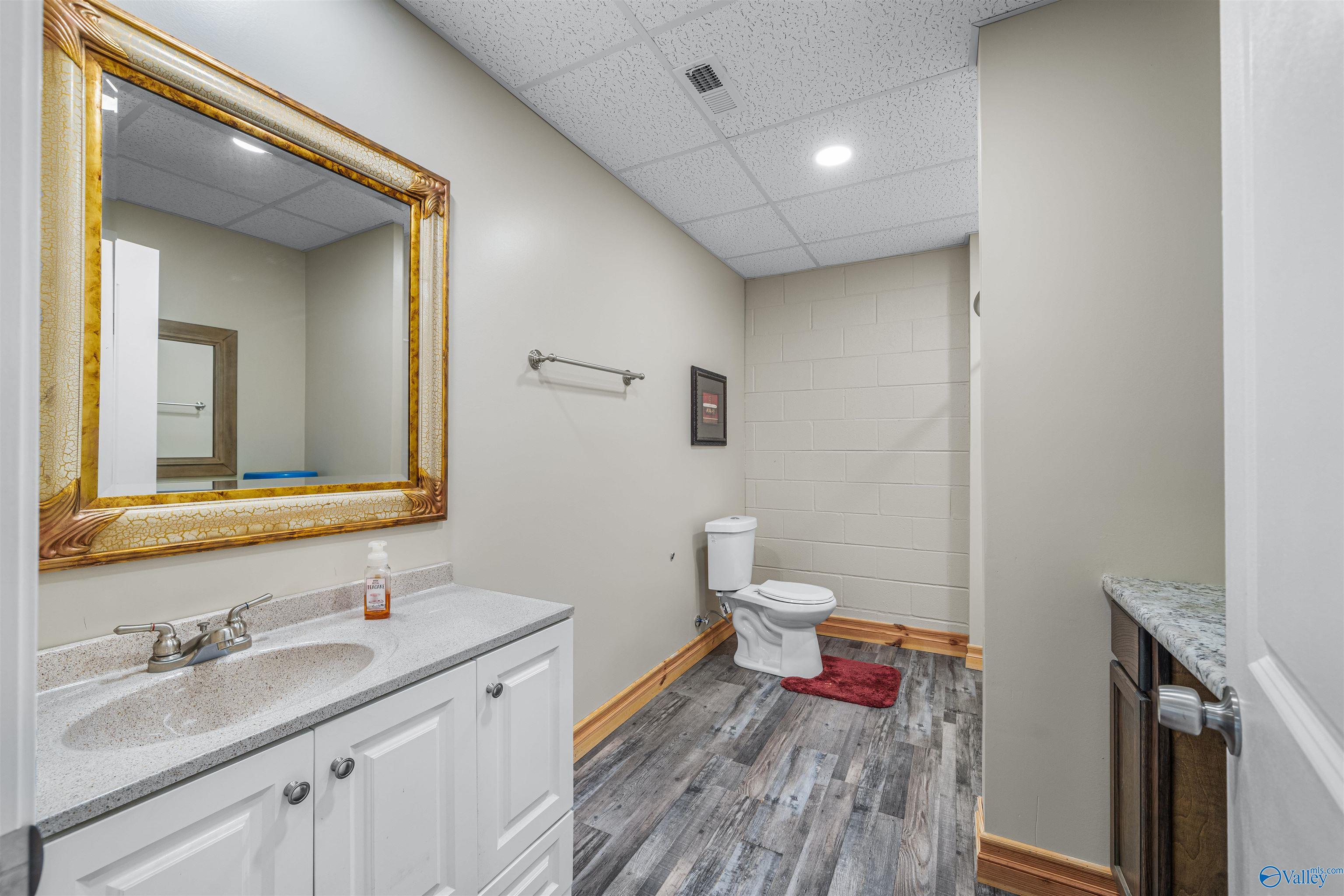 254 Lakeside Lane, Alpine, Alabama image 16