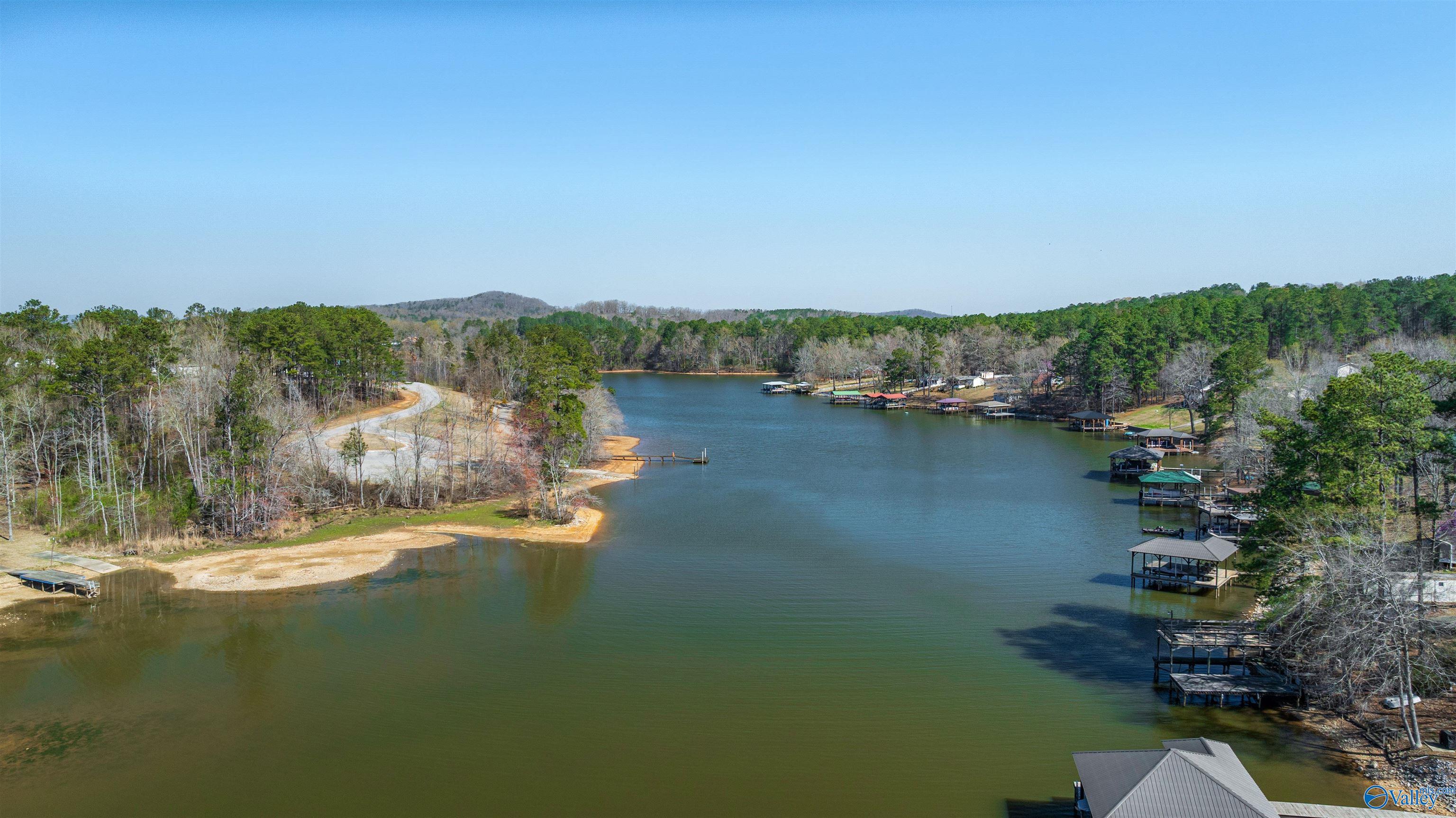 254 Lakeside Lane, Alpine, Alabama image 18