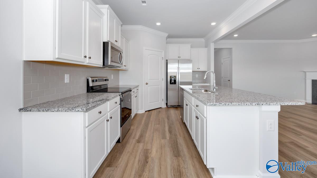 527 East River Landing Blvd, Madison, Alabama image 3