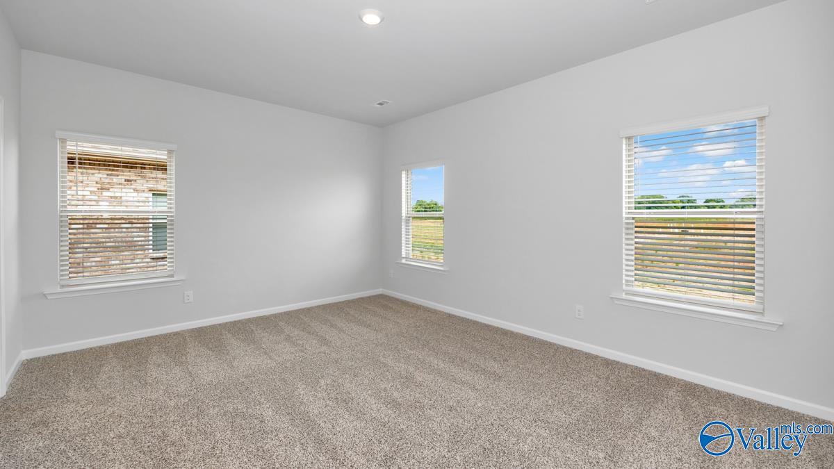 527 East River Landing Blvd, Madison, Alabama image 14