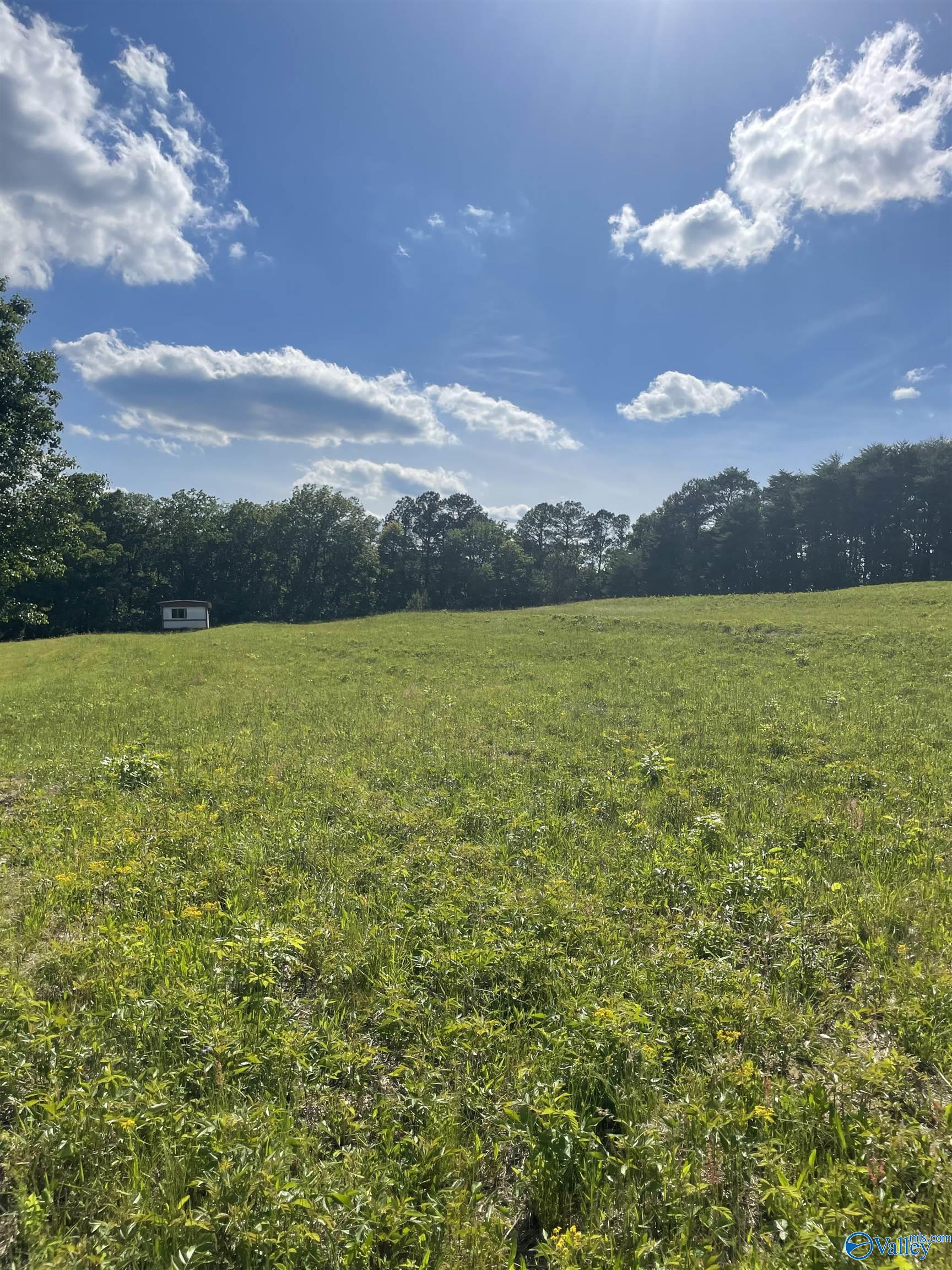 1779 County Road, Collinsville, Alabama image 1