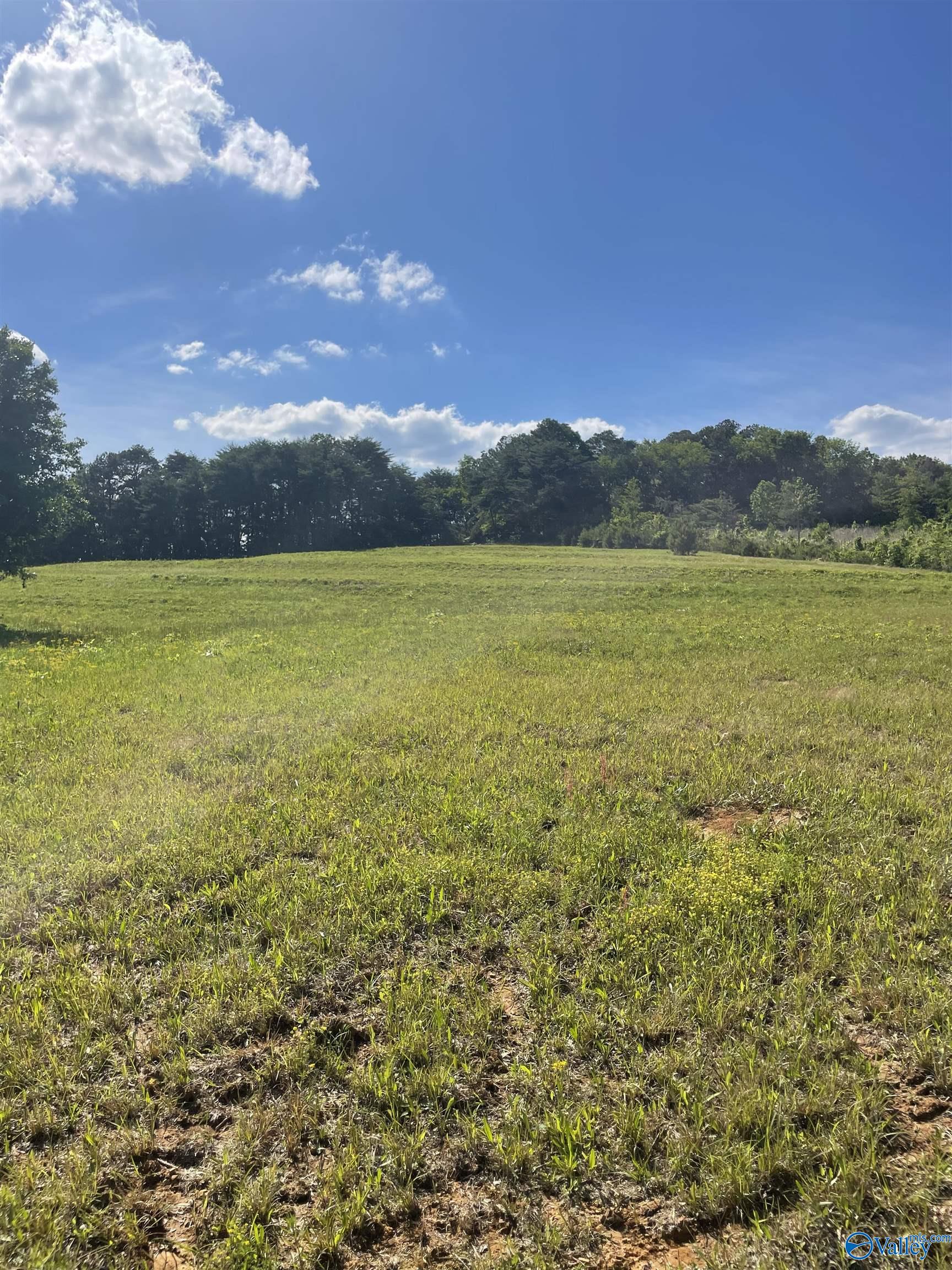 1779 County Road, Collinsville, Alabama image 3