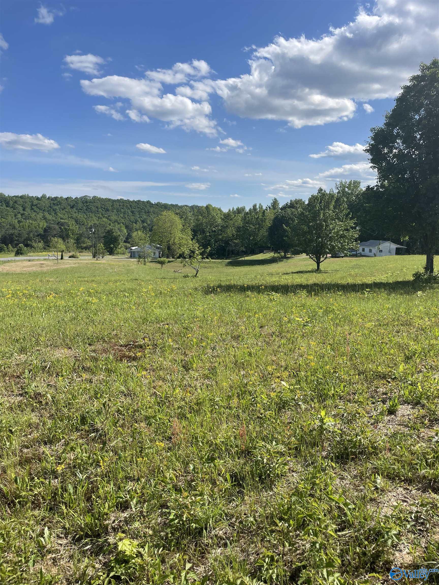 1779 County Road, Collinsville, Alabama image 4