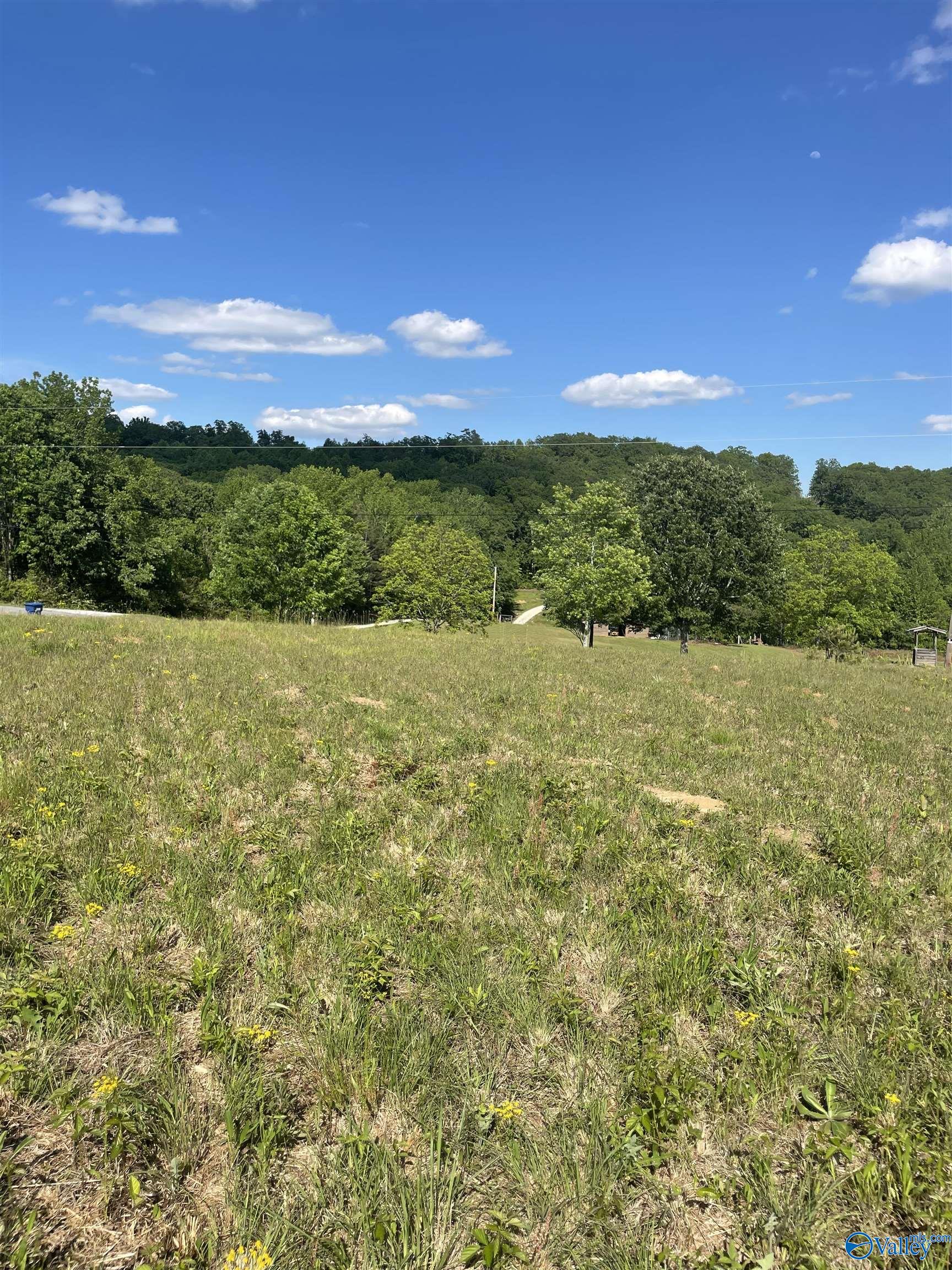 1779 County Road, Collinsville, Alabama image 5