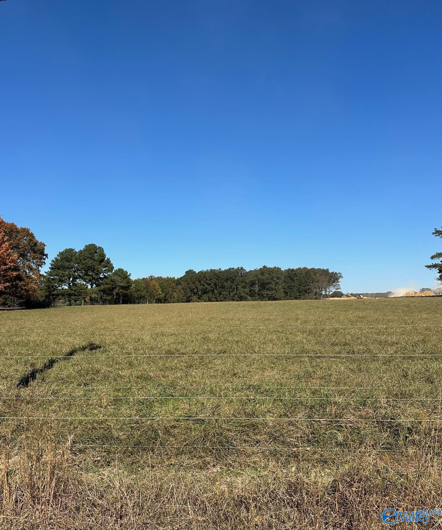 24295 Drawbaugh Road, Athens, Alabama image 2