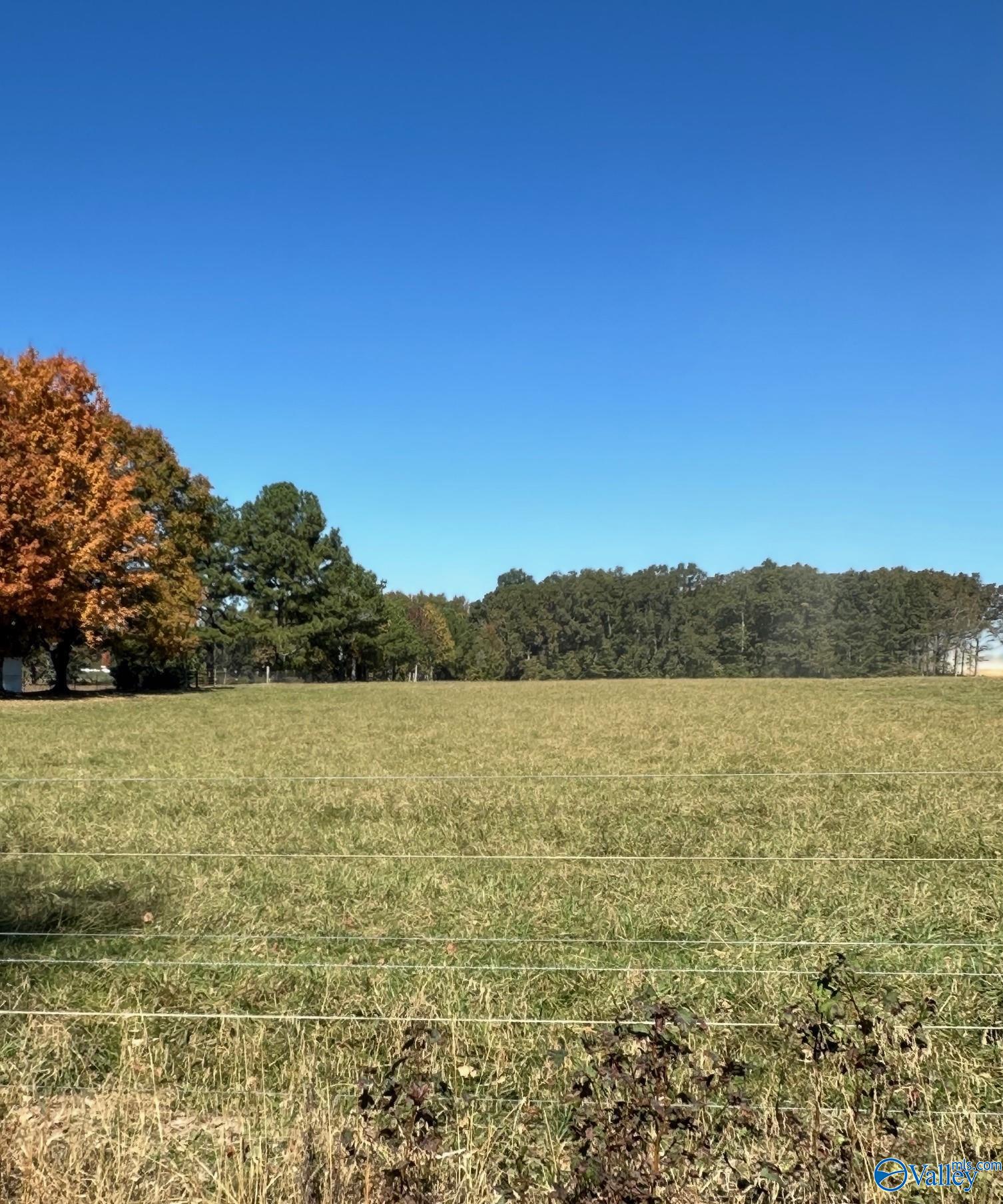 24295 Drawbaugh Road, Athens, Alabama image 1