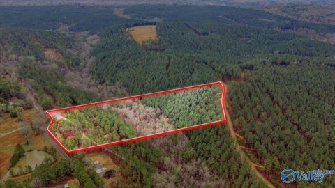 Vacant Land For Sale - 10 ACRES Mountain Drive<br/> Remlap, AL 35133