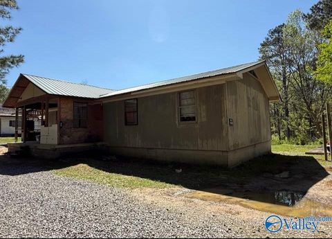 Photo of 50 Hudgins Drive, Attalla, AL 35954 (MLS # 21919519)
