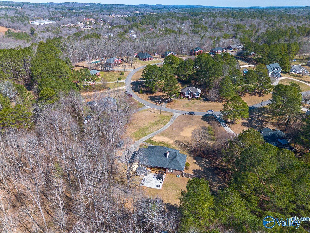 251 Panoramic Circle, Warrior, Alabama image 45