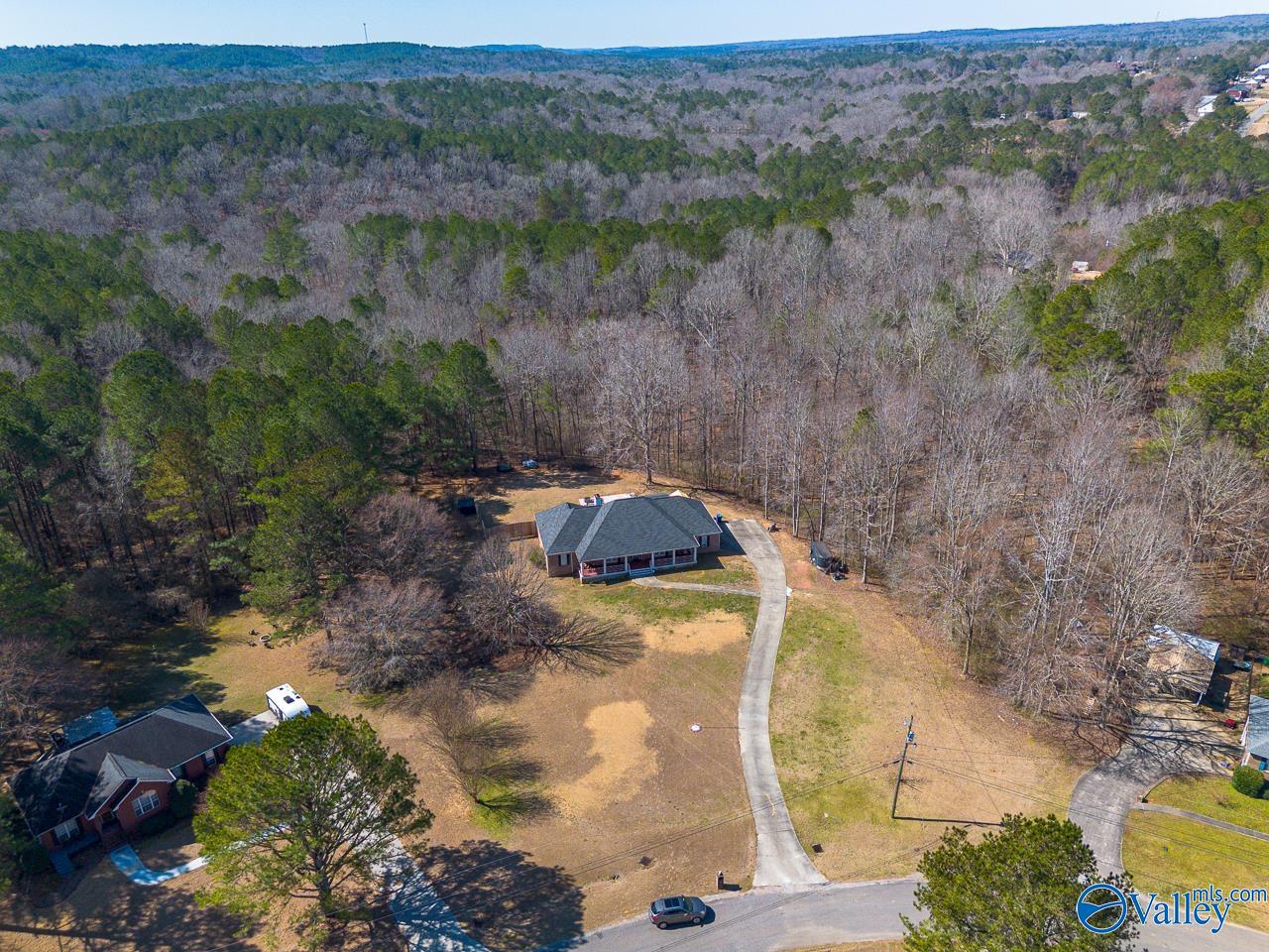 251 Panoramic Circle, Warrior, Alabama image 43