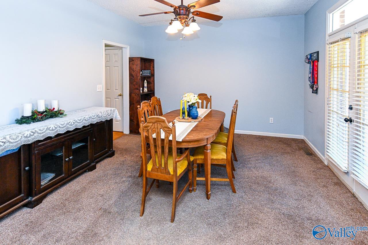 251 Panoramic Circle, Warrior, Alabama image 7