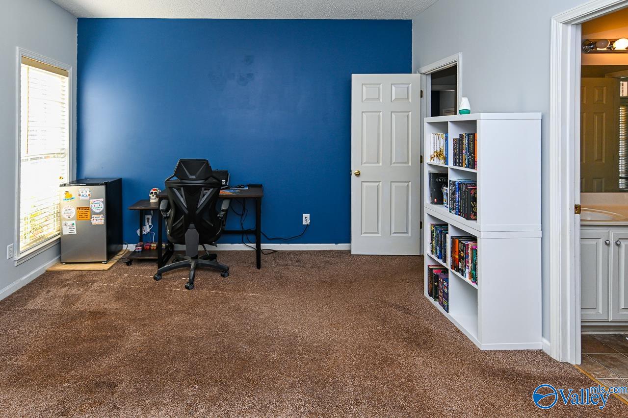 251 Panoramic Circle, Warrior, Alabama image 24