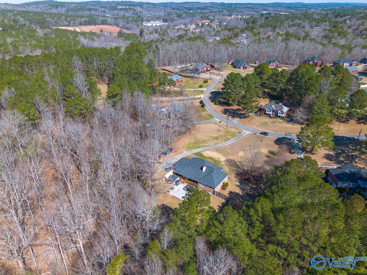 251 Panoramic Circle, Warrior, Alabama image 44