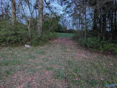Vacant Land For Sale - .9 ACRE T R Christian Road<br/> Madison County, New Hope, AL 35760
