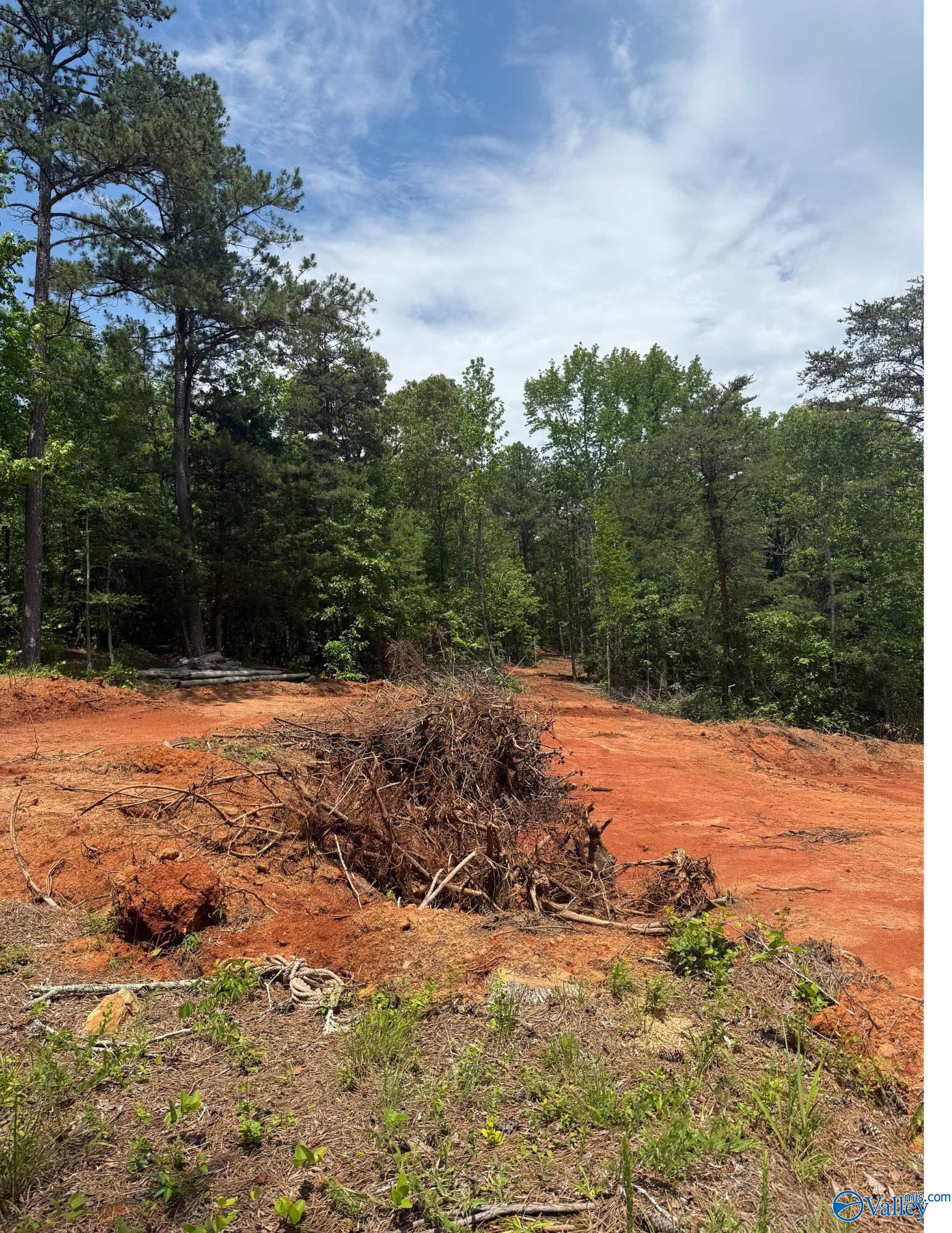 7451 Scenic Highway, Gadsden, Alabama image 1