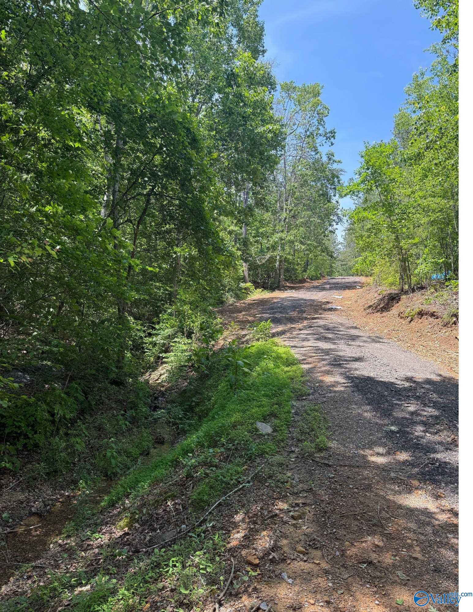 7451 Scenic Highway, Gadsden, Alabama image 6