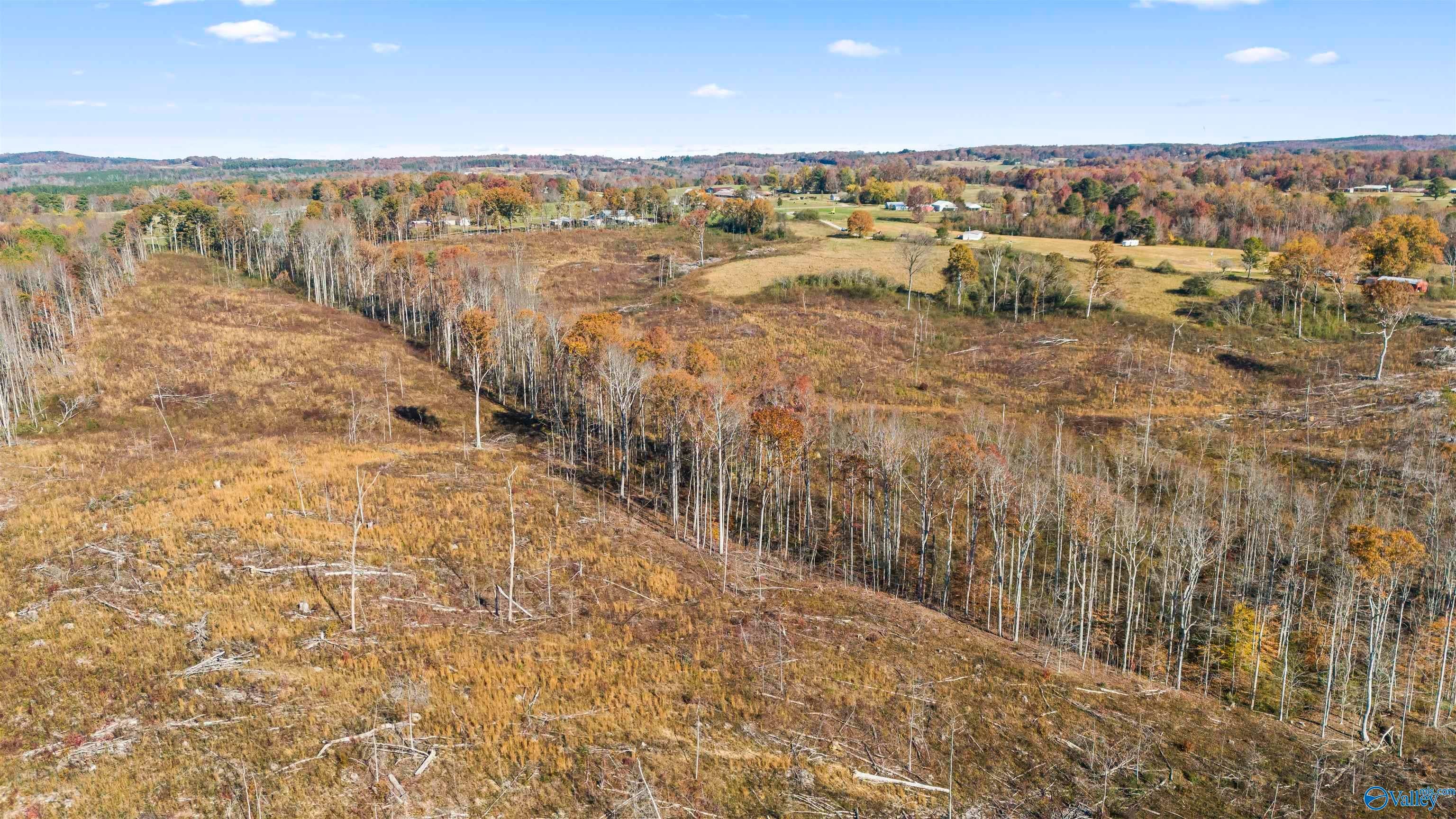 193AC County Road 1069