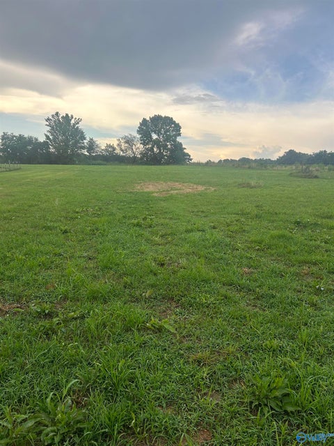 Vacant Land For Sale - 6097 County Road 1763 B<br/> Cullman County, Arab, AL 35016