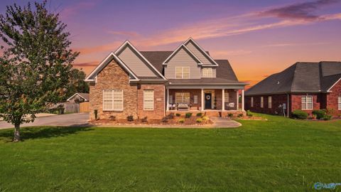 Photo of 115 Stanfield Drive, Madison, AL 35757 (MLS # 21919347)