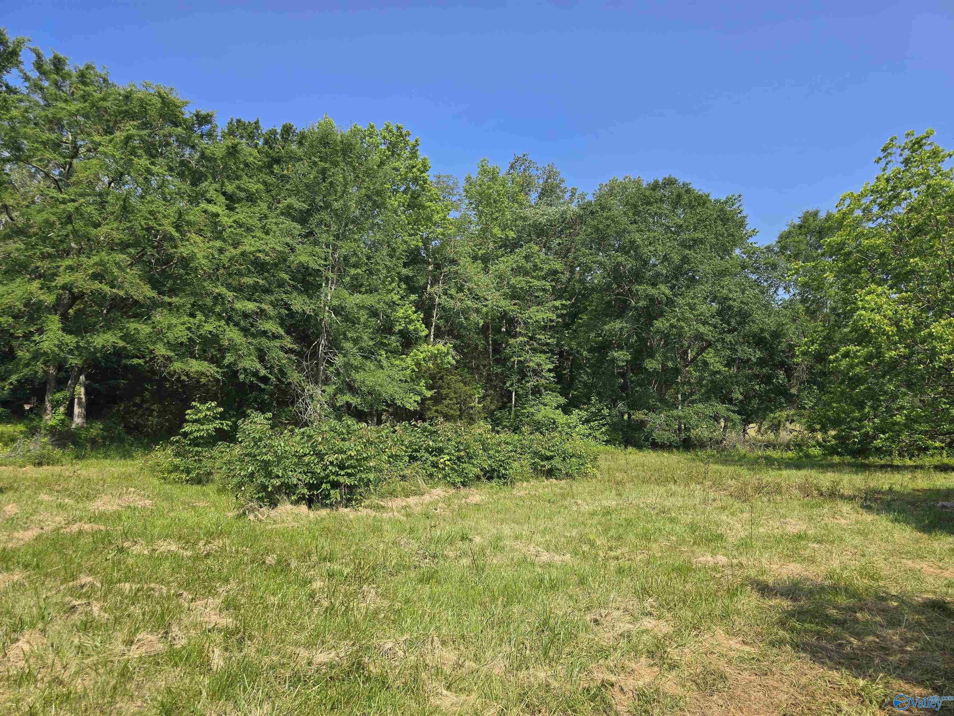 7619 County Road 30, Woodville, Alabama image 3