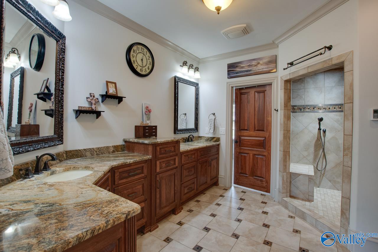 2602 Legacy Preserve Drive, Brownsboro, Alabama image 19