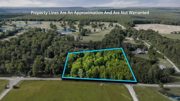 4 COUNTY RD 647, CEDAR BLUFF, AL 35959 - Image 58f25054d5cd86556819ffdbc8f1810e/2083102398