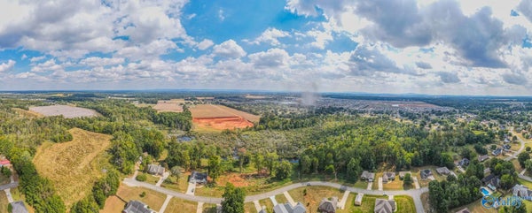 144 EASY ST, HAZEL GREEN, AL 35750 - Image 5906022fcea4e0b4300944df414b0819/2547728106