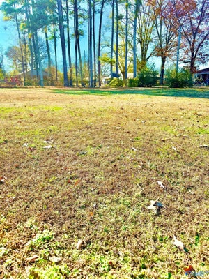 1505 8TH ST SE, DECATUR, AL 35601 - Image 591e8097dbfd795880de57a3ad2e79e4/241361674