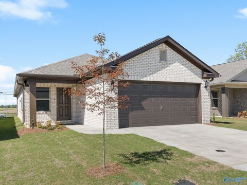 Homes For Sale - 11113 Ravenel Drive<br/> Harvest, AL 35749