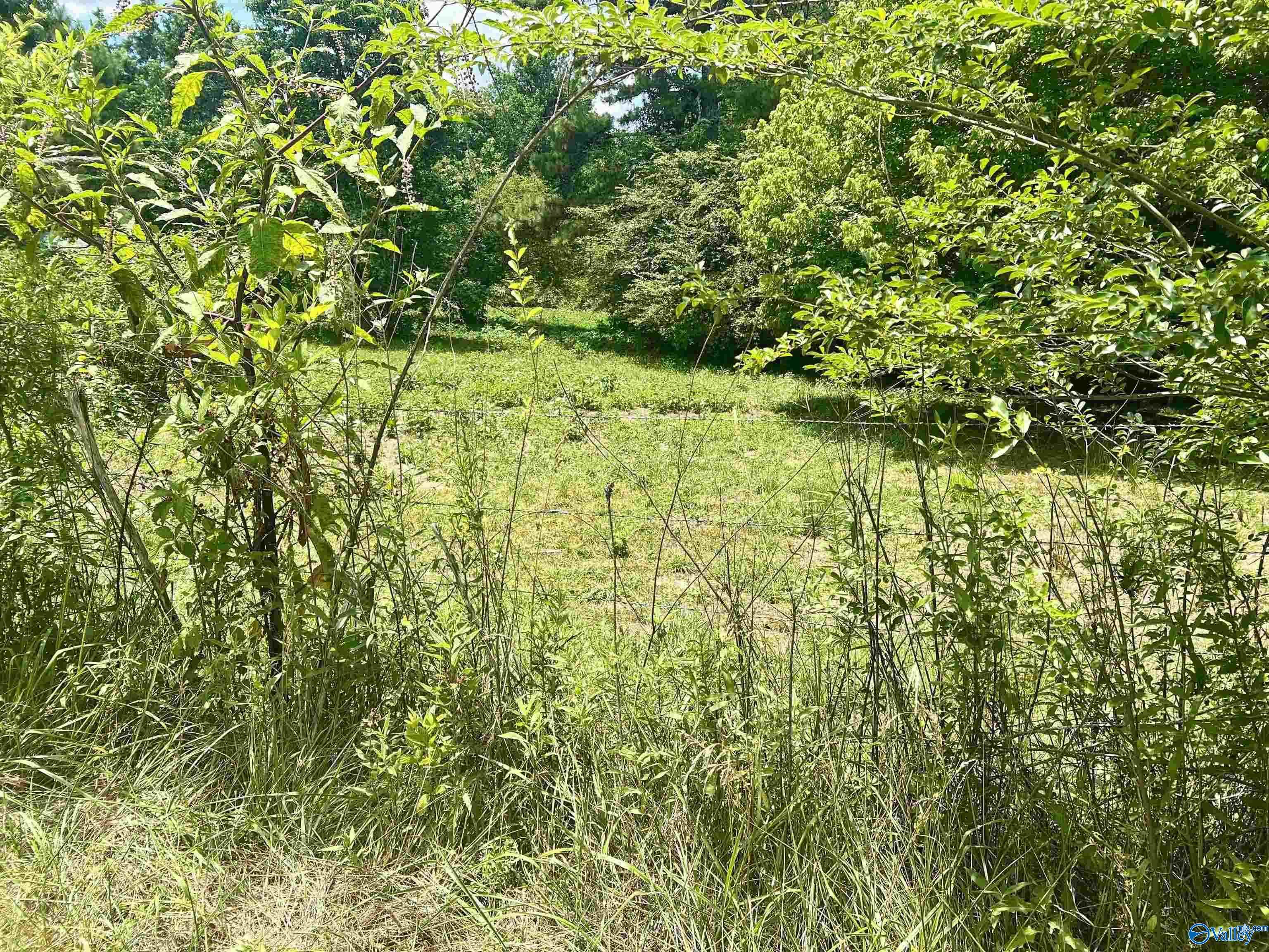 2.55AC Gray Road, Mentone, Alabama image 1