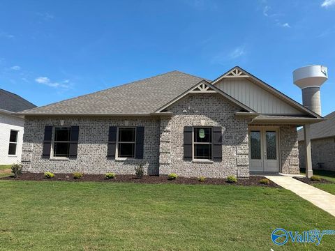 Photo of 12370 Narayan Street, Madison, AL 35756 (MLS # 21916946)