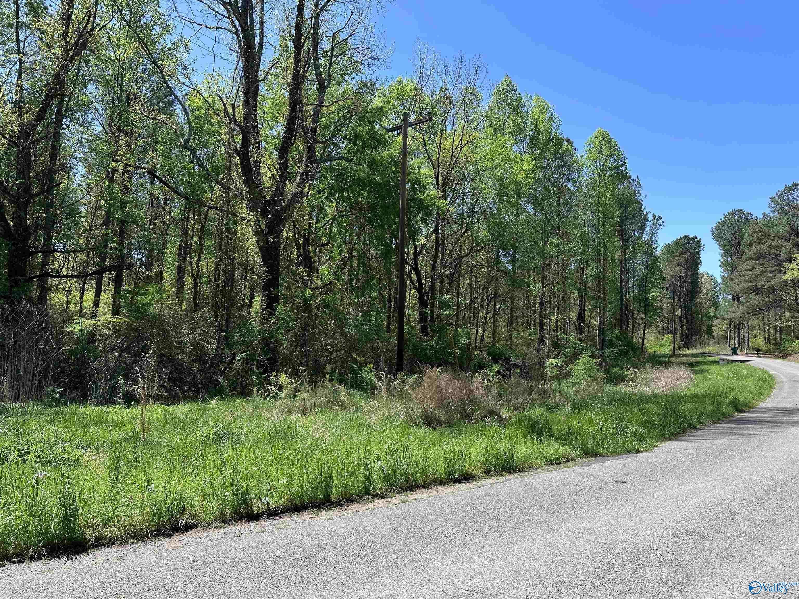 5.6 Acres County Road 842, Cullman, Alabama image 1