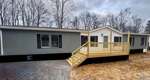 Homes For Sale - 230 Tin Top Road<br/> Grant, AL 35747