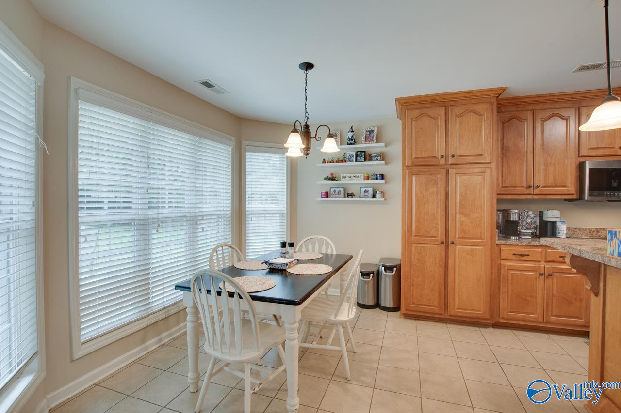 154 Appleberry Lane, Harvest, Alabama image 13