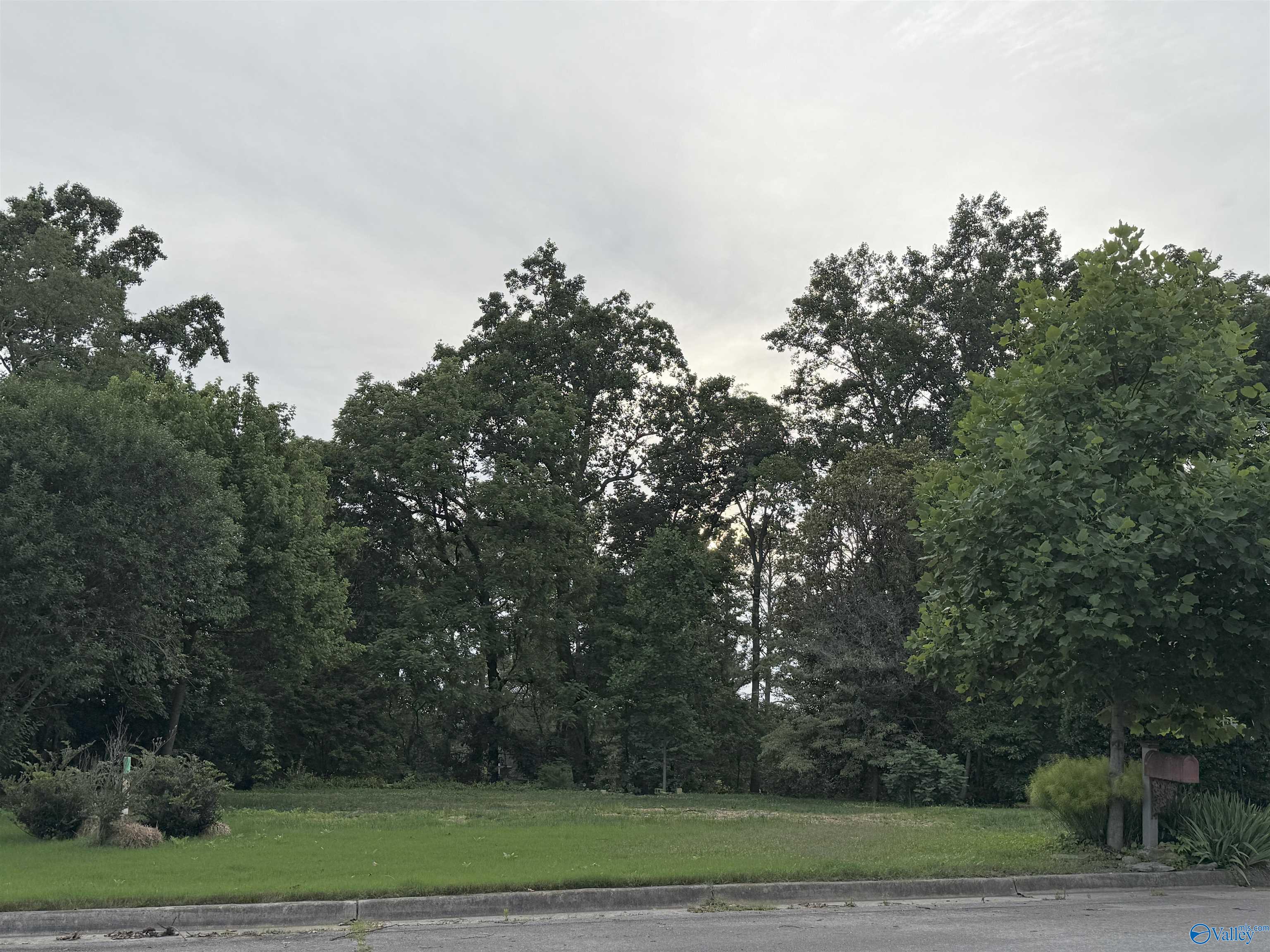 127 Victoria Drive, Madison, Alabama image 6