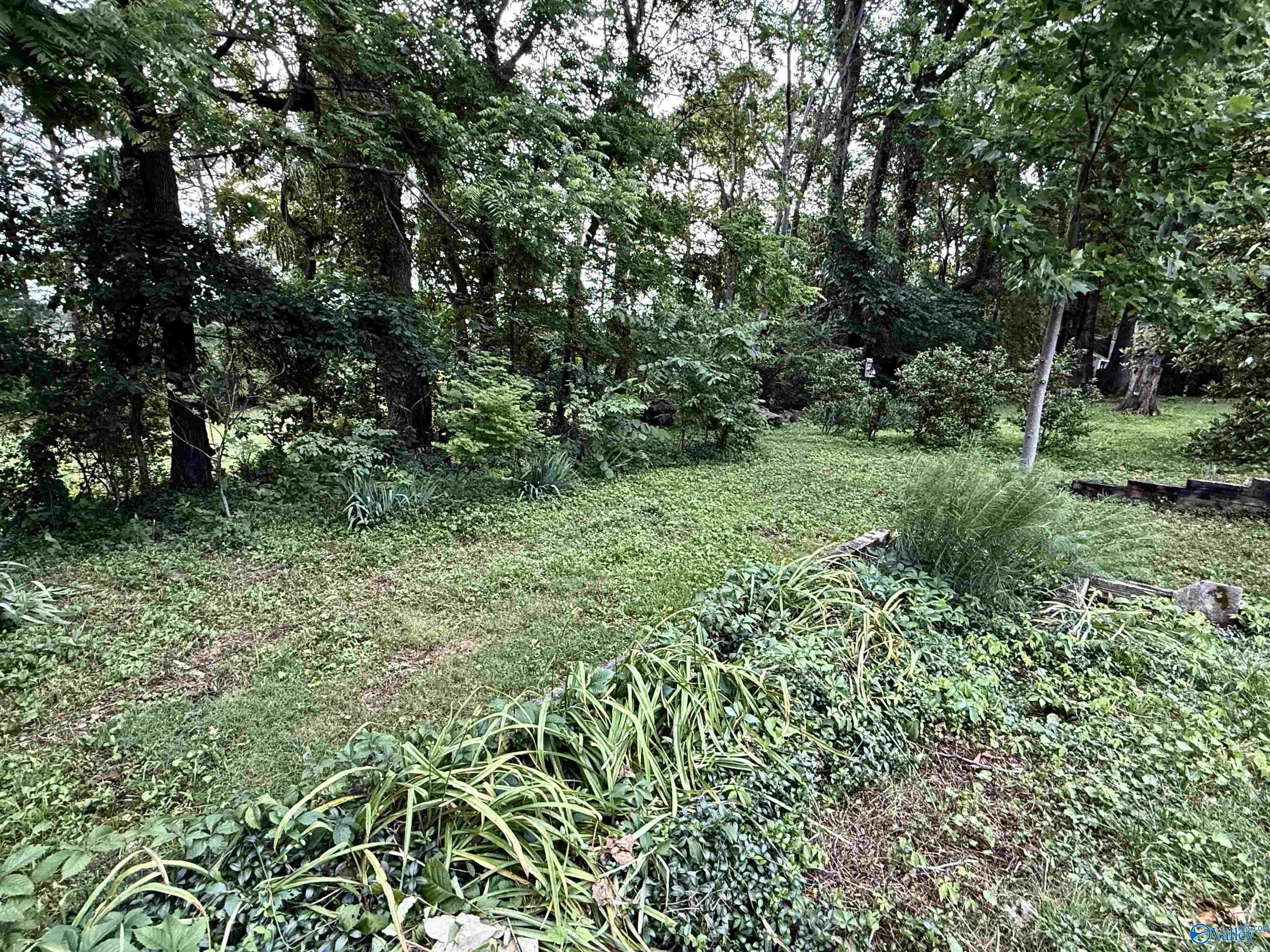 127 Victoria Drive, Madison, Alabama image 14