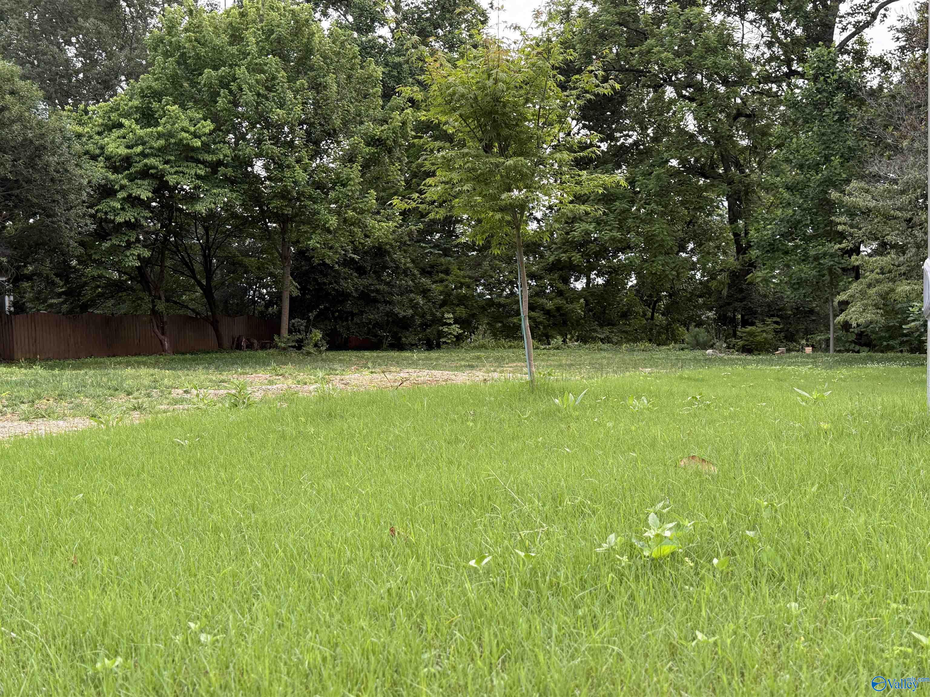 127 Victoria Drive, Madison, Alabama image 13