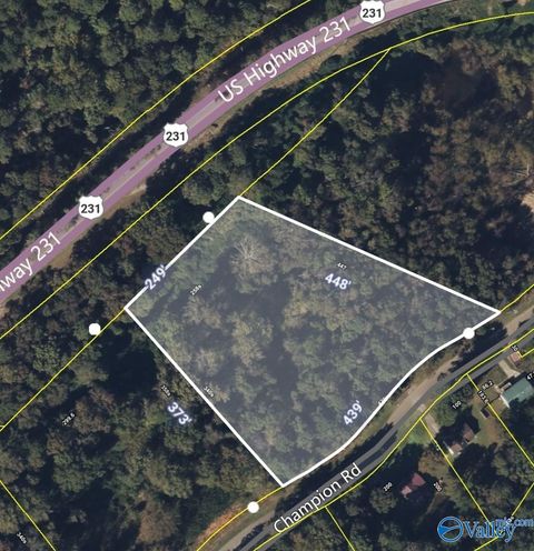 Vacant Land For Sale - 2.6 ACRES Champion Road<br/> Oneonta, AL 35121