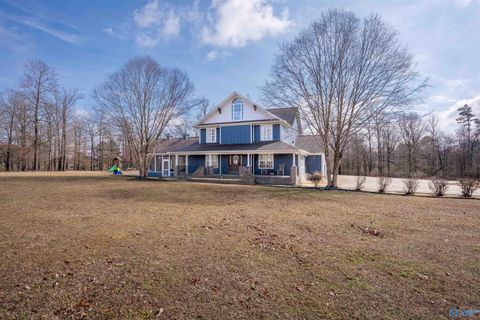 Photo of 464 County Road 91, Pisgah, AL 35765 (MLS # 21909964)