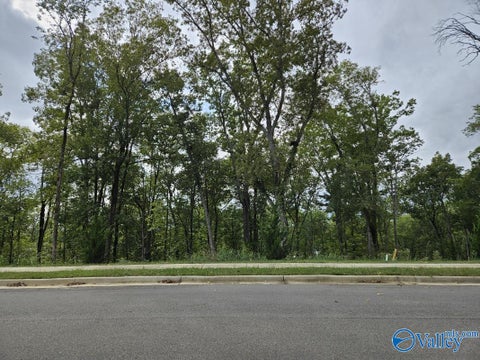 Homes For Sale - 4104 Piedmont Drive<br/> Huntsville, AL 35802