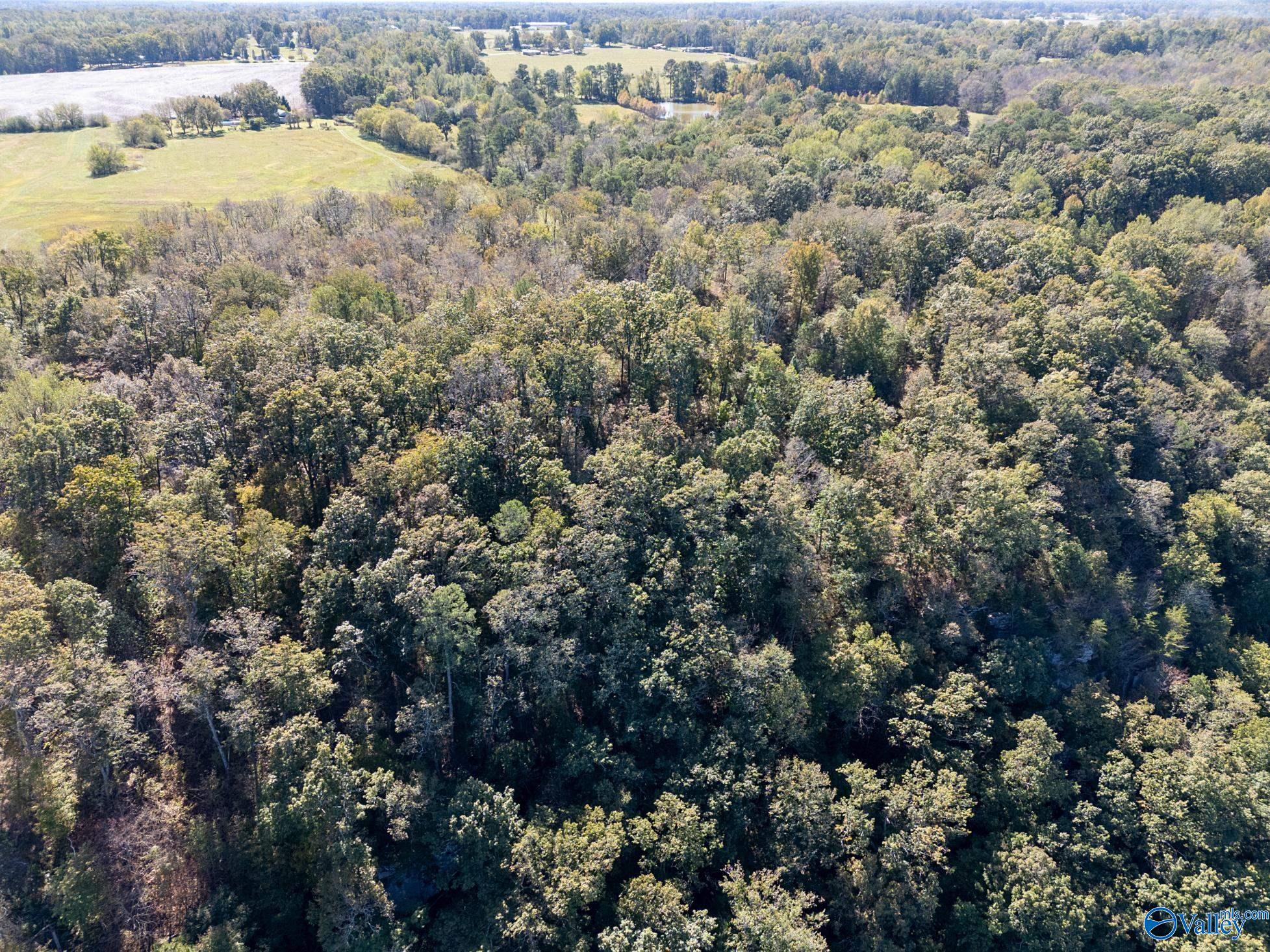 Lot 3 County Road 224, Dutton, Alabama image 12