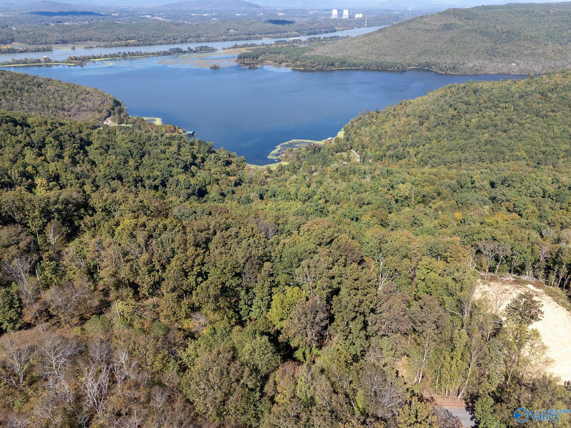 Lot 3 County Road 224, Dutton, Alabama image 8