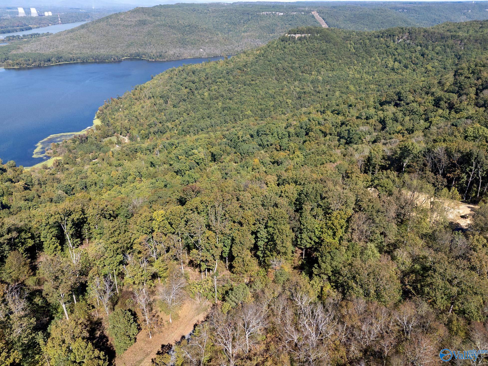 Lot 3 County Road 224, Dutton, Alabama image 7