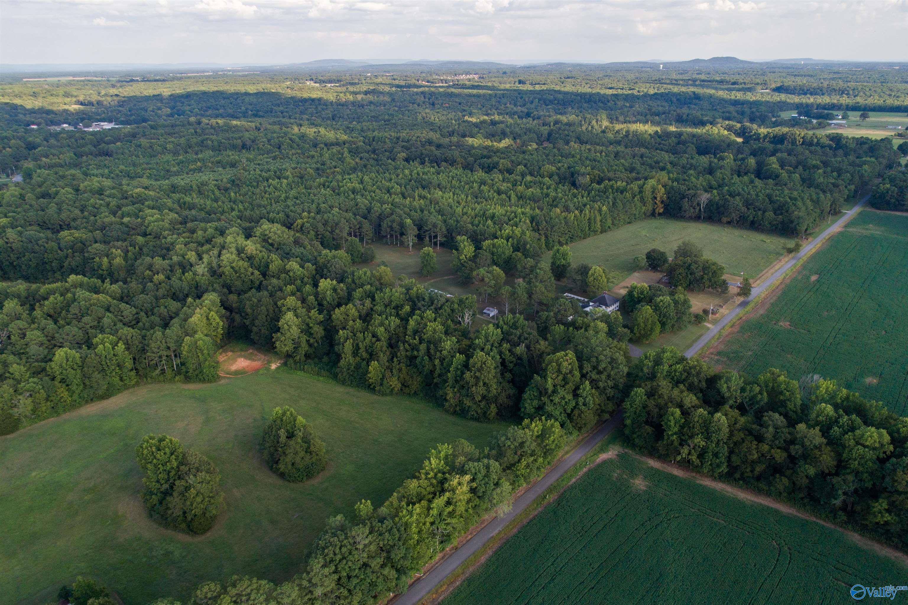 58 Acres Jade Road, Toney, Alabama image 4