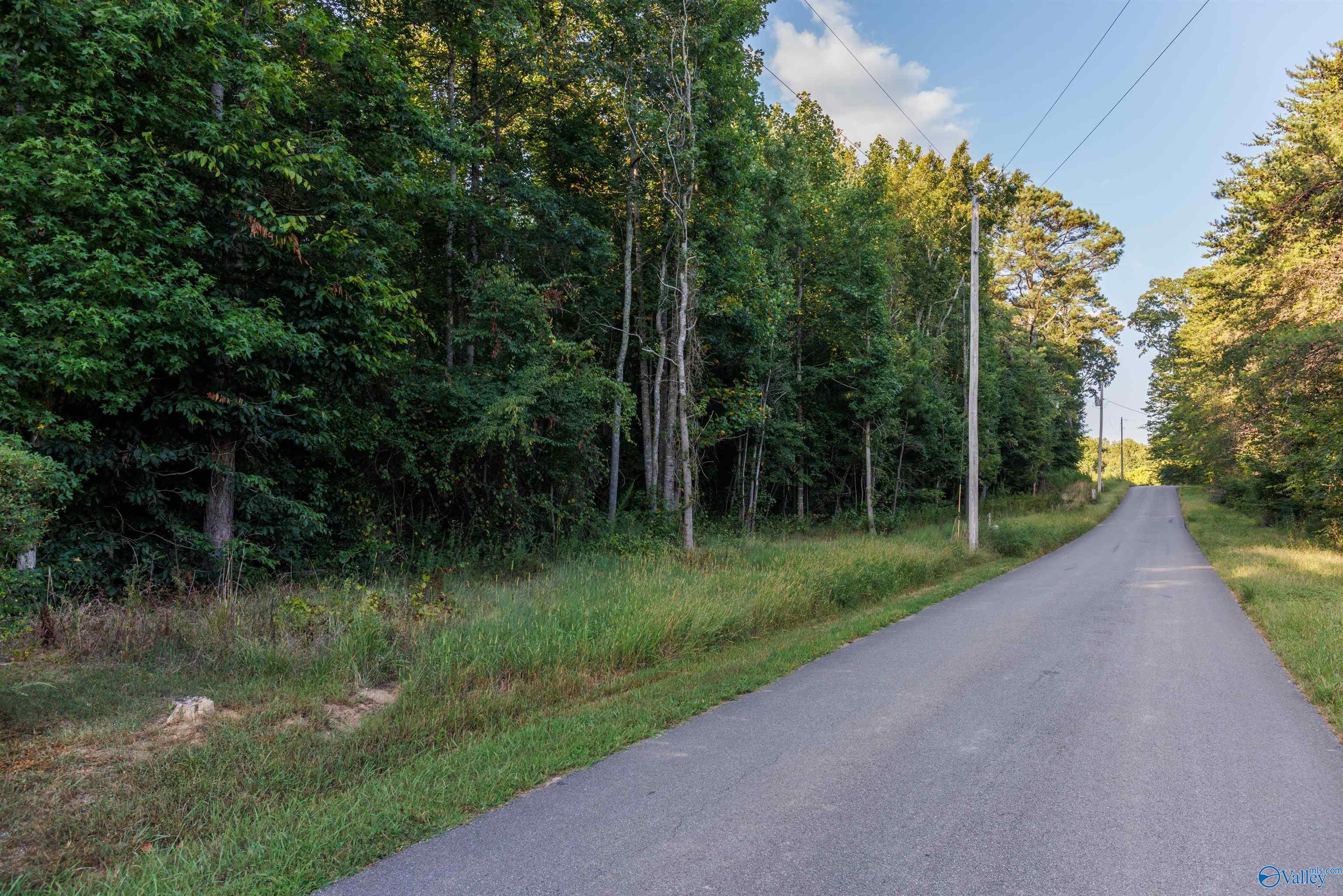 58 Acres Jade Road, Toney, Alabama image 9