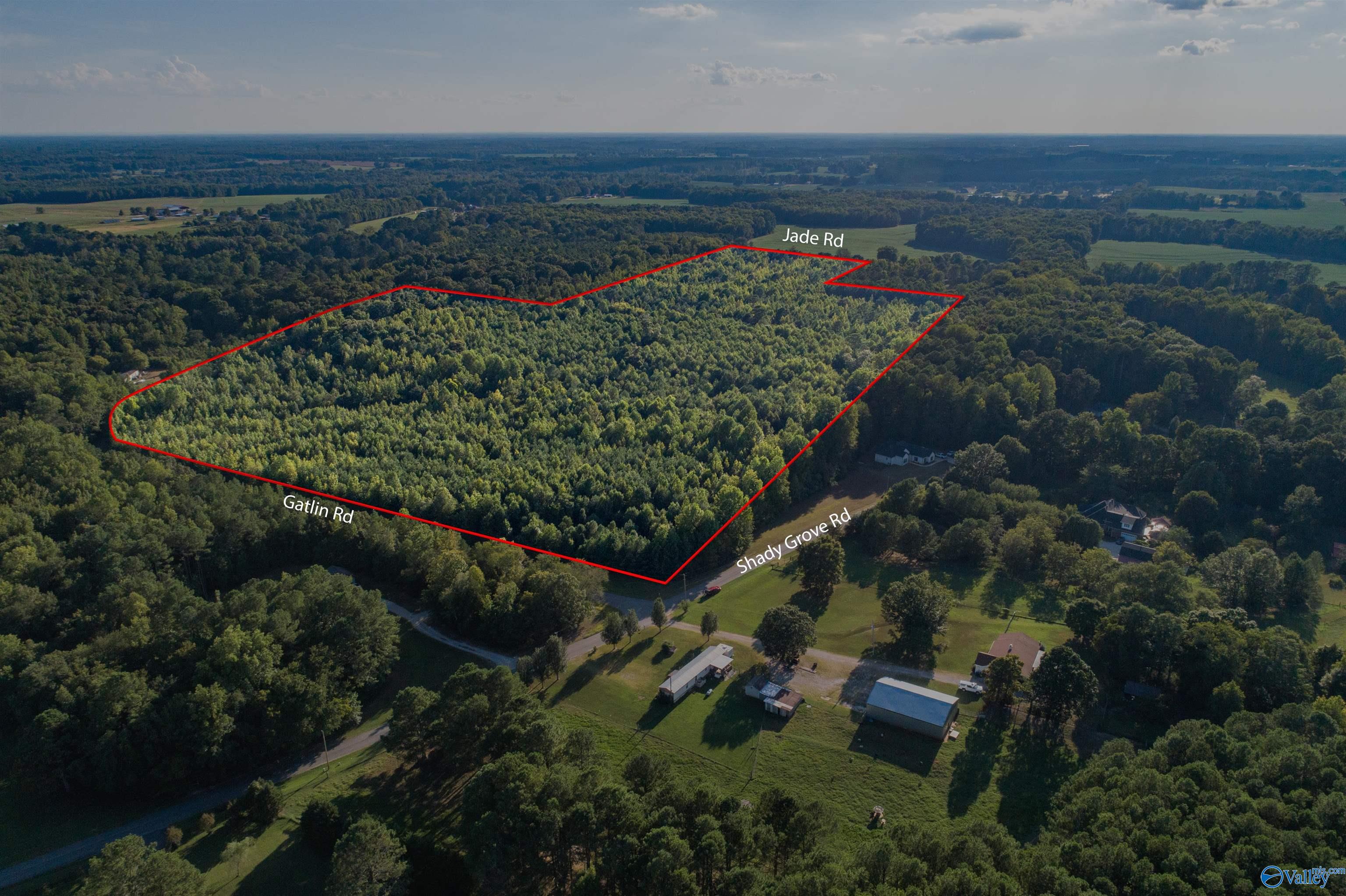 58 Acres Jade Road, Toney, Alabama image 1