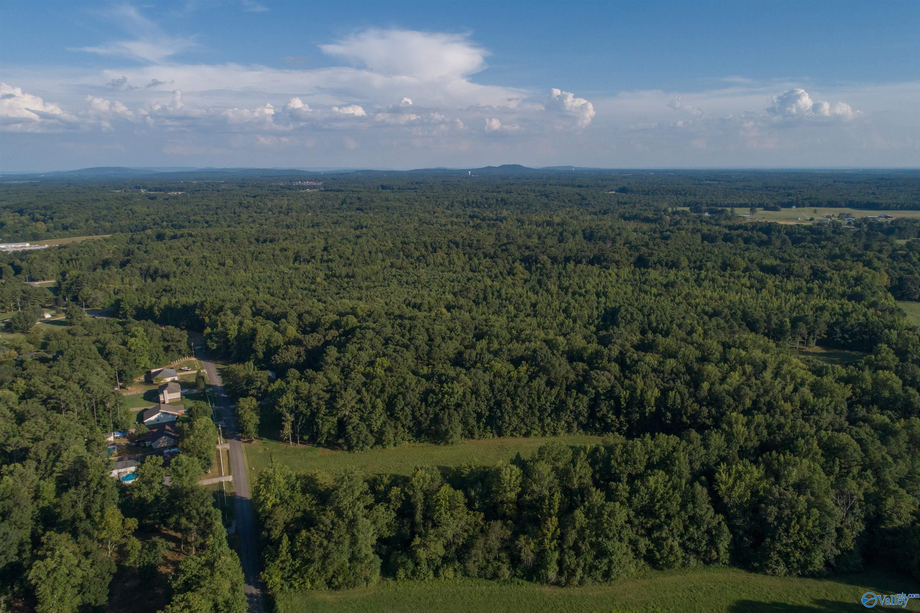 58 Acres Jade Road, Toney, Alabama image 3