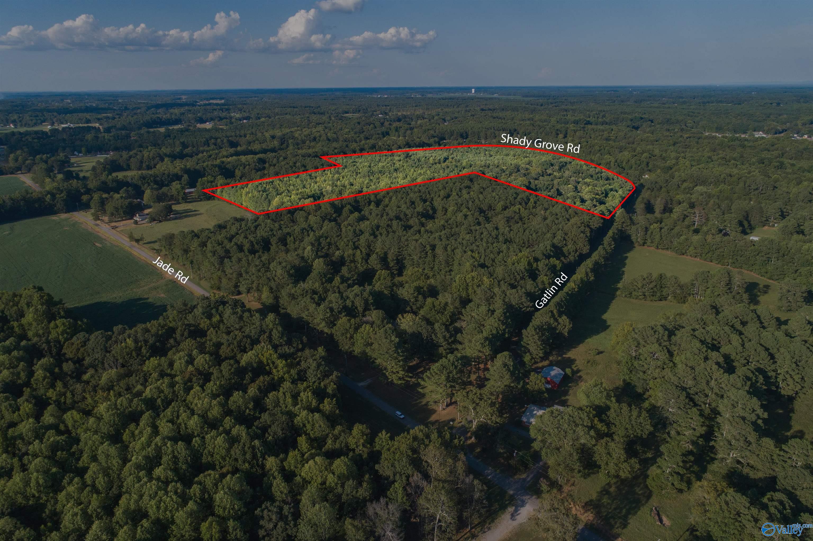 58 Acres Jade Road, Toney, Alabama image 2